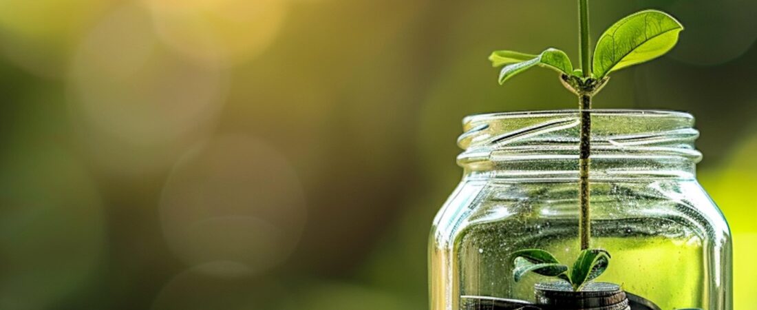 Smart Ways to Invest Small Amounts of Money